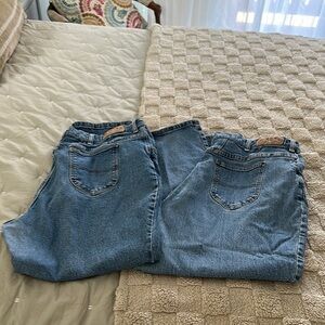 2 Classic Blue Women's Jeans Lee Riders sz 22 petite